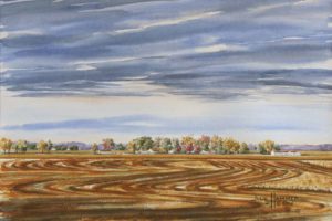 Autumn Wheat Field