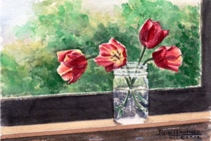 Red Tulips on Window Sill