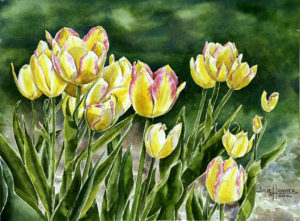 Yellow Tulips watercolor painting by Julie Hammer, artist