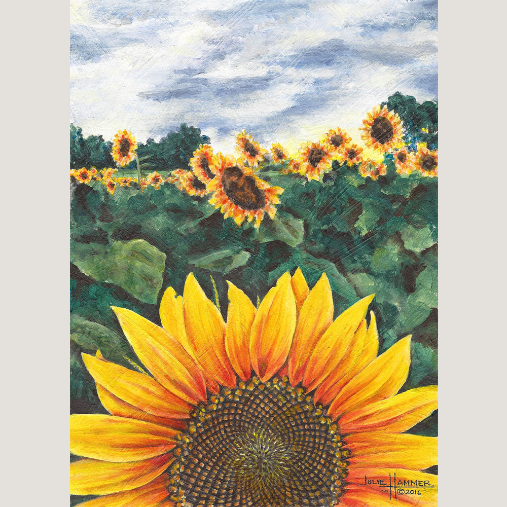 Sunflower Field Julie Hammer