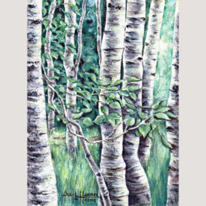 Aspen Forest acrylic painting by Julie Hammer, artist